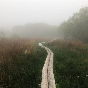 Heron Path